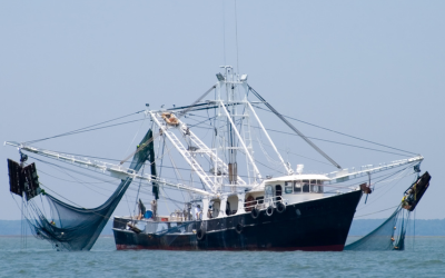 PESCA CONTINENTAL (MT808A)