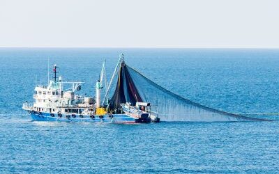 PROYECTOS DE COOPERACIÓN INTERTERRITORIALES Y TRANSNACIONALES GALP 2026 (PE155B)