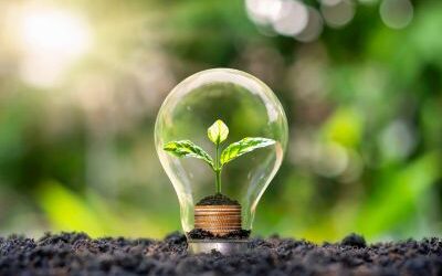 PROYECTOS DE AHORRO Y EFICIENCIA ENERGÉTICA EN EMPRESAS (IN417Y)