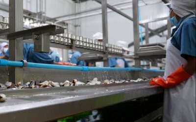 AYUDAS PYMES SECTOR TRANSFORMADOR 2026 (PE201B)