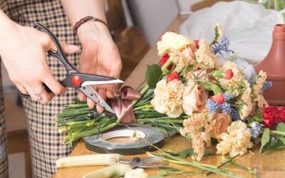 BONO RELEVO 2026 (TR353D)